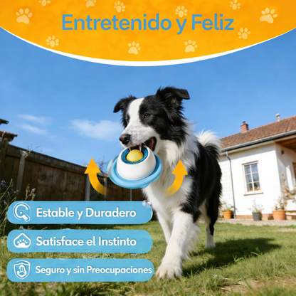 Lamedor Ideal Para Mascota